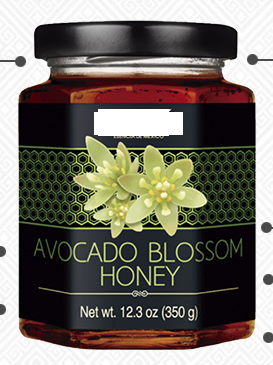 Honey Bee - Eduardo Gutiérrez Álvarez